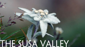 The valley